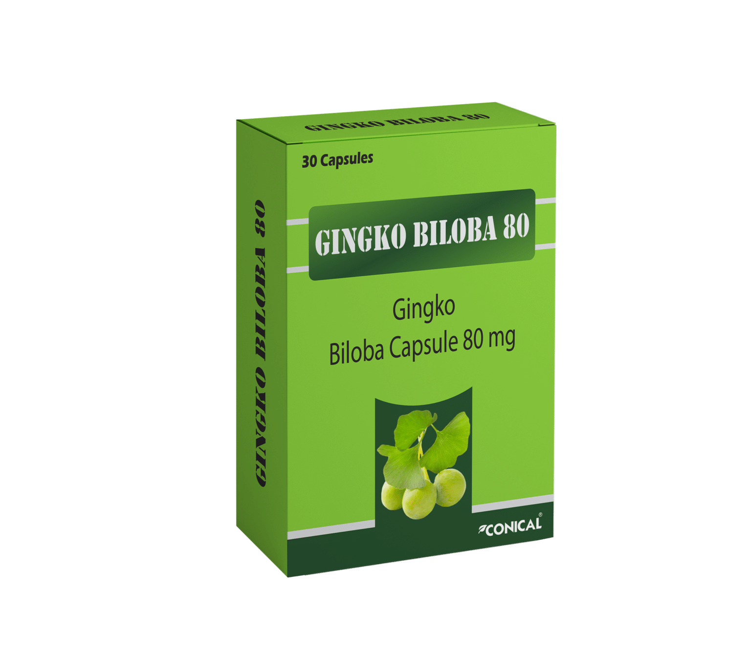 Ginkgo biloba capsule manufacturers in india conical pharmaceuticals