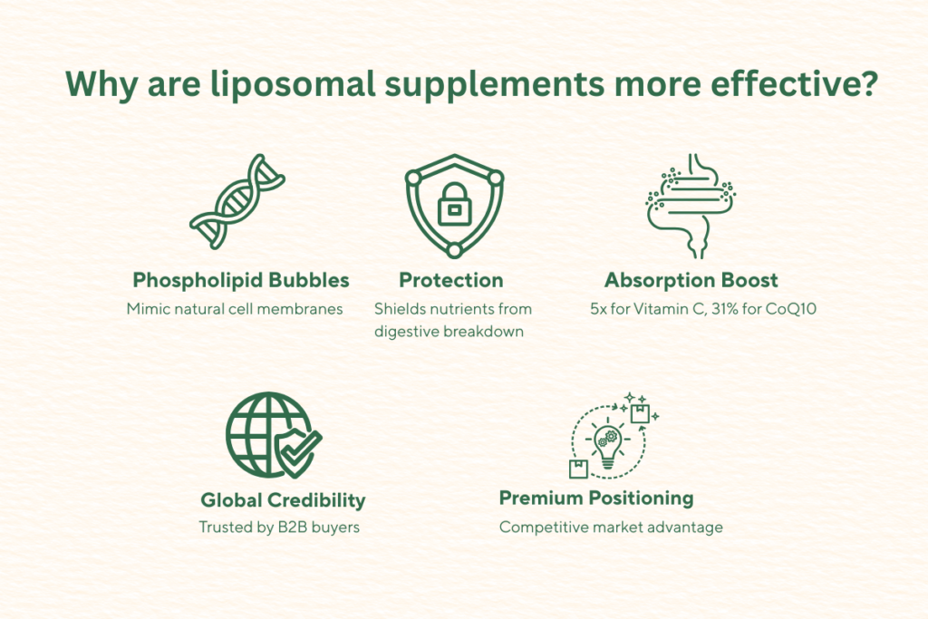 Complete Liposomal Supplement Guide and It's Advanced Delivery Technology 7 why are liposomal supplement more effective?